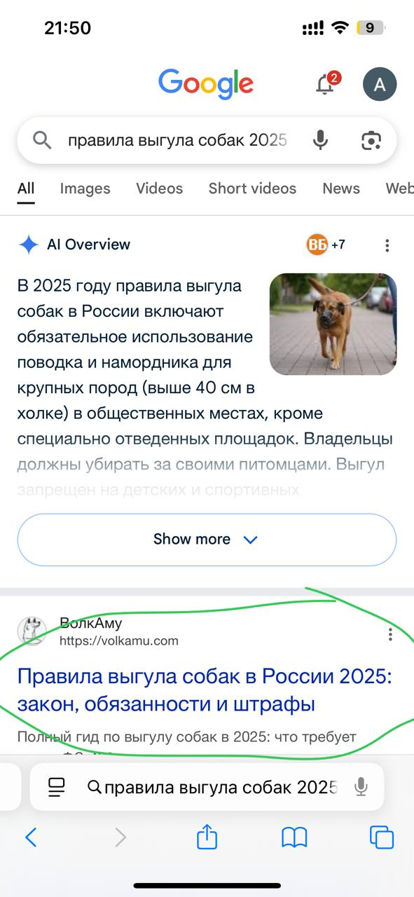 Скриншот Google AI Overview с ВолкАму на первом месте