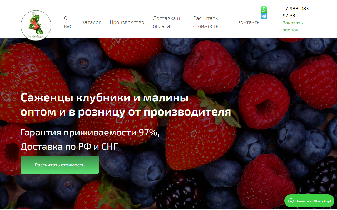 Разработка